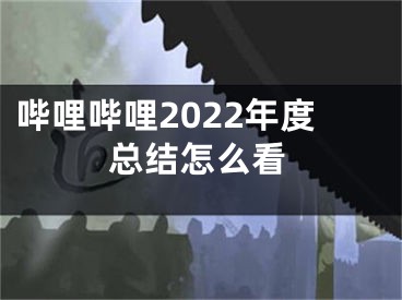 嗶哩嗶哩2022年度總結(jié)怎么看