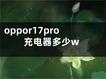 oppor17pro充電器多少w