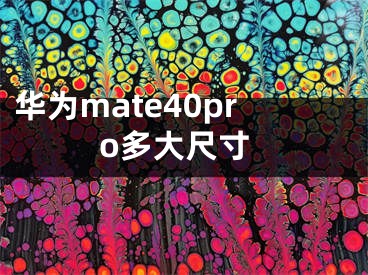 華為mate40pro多大尺寸