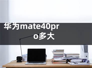 華為mate40pro多大