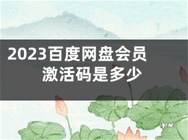 2023百度網(wǎng)盤會員激活碼是多少