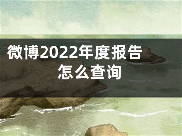 微博2022年度報告怎么查詢