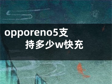 opporeno5支持多少w快充