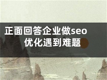 正面回答企業(yè)做seo優(yōu)化遇到難題