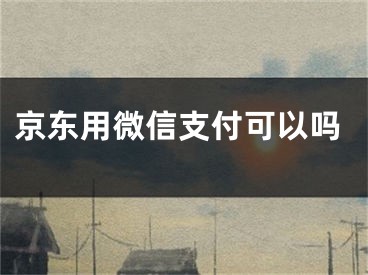 京東用微信支付可以嗎