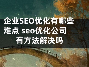 企業(yè)SEO優(yōu)化有哪些難點(diǎn) seo優(yōu)化公司有方法解決嗎 