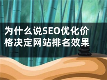 為什么說SEO優(yōu)化價格決定網(wǎng)站排名效果 