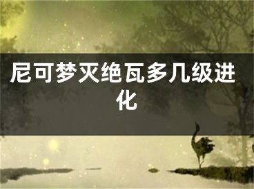 尼可夢(mèng)滅絕瓦多幾級(jí)進(jìn)化