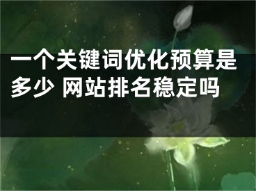 一個關鍵詞優(yōu)化預算是多少 網(wǎng)站排名穩(wěn)定嗎 