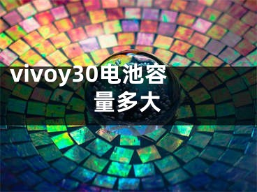 vivoy30電池容量多大