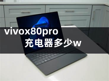 vivox80pro充電器多少w