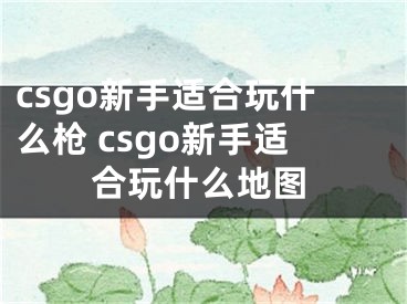 csgo新手適合玩什么槍 csgo新手適合玩什么地圖