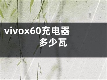 vivox60充電器多少瓦