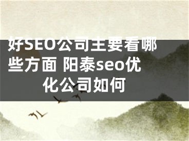 好SEO公司主要看哪些方面 陽泰seo優(yōu)化公司如何 