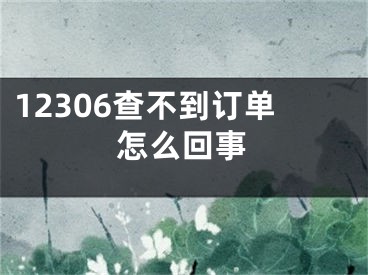 12306查不到訂單怎么回事