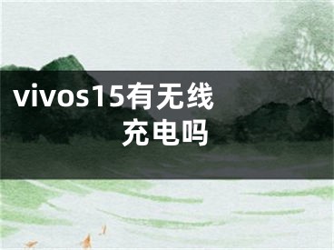 vivos15有無(wú)線充電嗎