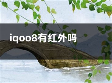 iqoo8有紅外嗎