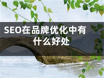 SEO在品牌優(yōu)化中有什么好處