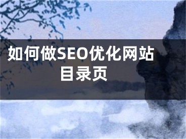 如何做SEO優(yōu)化網(wǎng)站目錄頁 