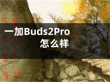 一加Buds2Pro怎么樣