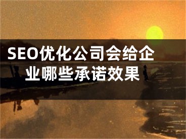 SEO優(yōu)化公司會(huì)給企業(yè)哪些承諾效果 