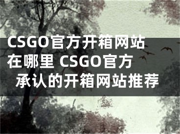 CSGO官方開箱網(wǎng)站在哪里 CSGO官方承認(rèn)的開箱網(wǎng)站推薦