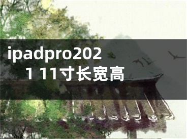 ipadpro2021 11寸長寬高