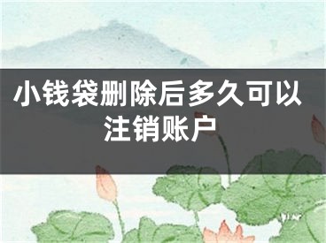 小錢袋刪除后多久可以注銷賬戶