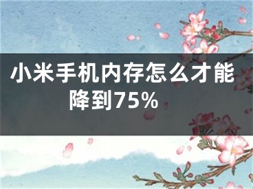 小米手機(jī)內(nèi)存怎么才能降到75%