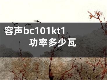 容聲bc101kt1功率多少瓦