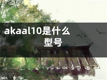 akaal10是什么型號