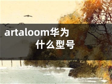 artaloom華為什么型號(hào)