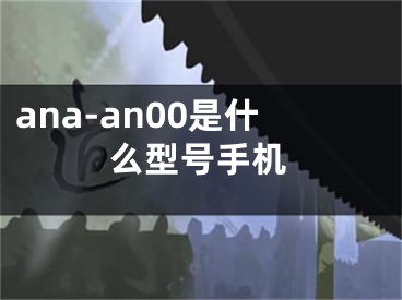 ana-an00是什么型號(hào)手機(jī)