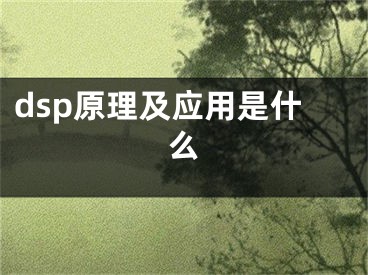 dsp原理及應用是什么