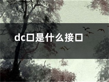 dc口是什么接口