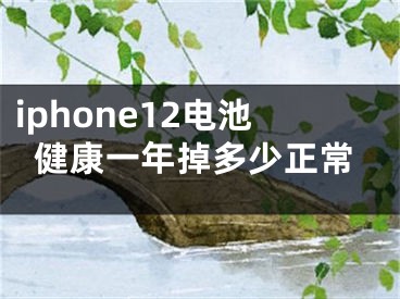 iphone12電池健康一年掉多少正常