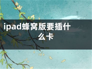 ipad蜂窩版要插什么卡