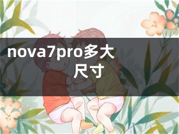 nova7pro多大尺寸