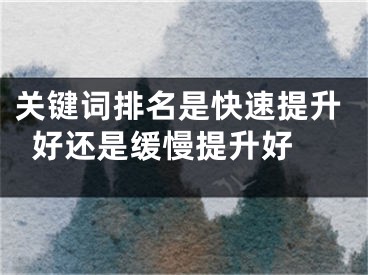 關(guān)鍵詞排名是快速提升好還是緩慢提升好 