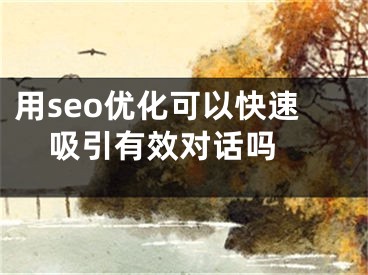 用seo優(yōu)化可以快速吸引有效對話嗎 