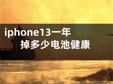 iphone13一年掉多少電池健康