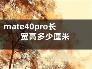 mate40pro長寬高多少厘米