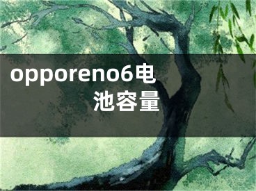 opporeno6電池容量