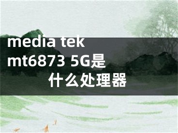 media tek mt6873 5G是什么處理器