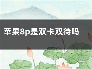 蘋(píng)果8p是雙卡雙待嗎