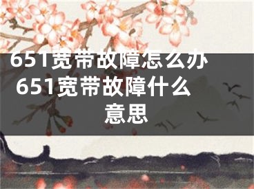 651寬帶故障怎么辦 651寬帶故障什么意思