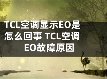 TCL空調(diào)顯示EO是怎么回事 TCL空調(diào)EO故障原因