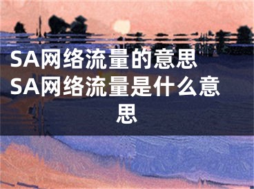 SA網(wǎng)絡(luò)流量的意思 SA網(wǎng)絡(luò)流量是什么意思