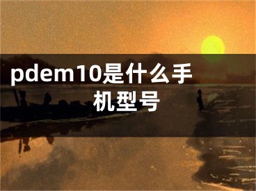 pdem10是什么手機(jī)型號