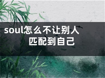 soul怎么不讓別人匹配到自己